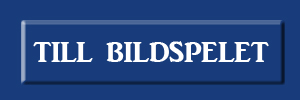 Till bildspelet